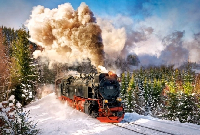Puzzle 1000 pièces Steam Train
