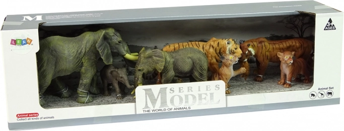 Emballage cadeau pour petits explorateurs