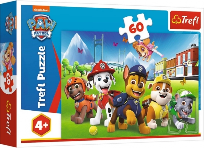 Carton de qualité et pièces sûres