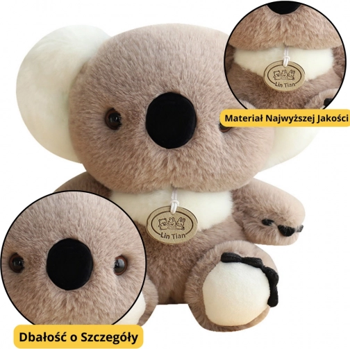 Jouet en Peluche Koala Gris 23 cm