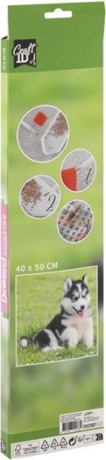 GRAFIX Peinture au diamant Husky 40x50cm