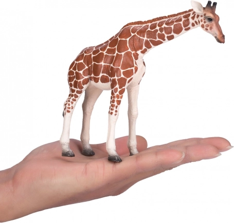 Taille compacte mais impressionnante