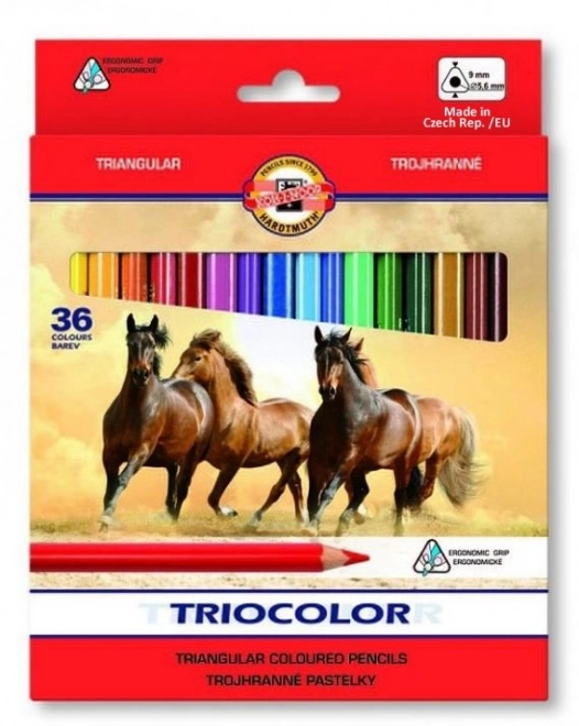 KOH-I-NOOR Crayons triangulaires Triocolor 3145 - 36 pcs