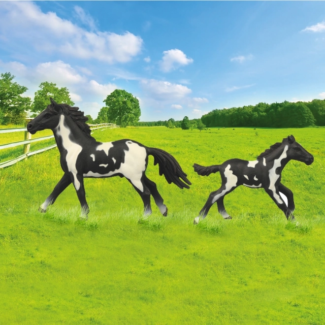 Ensemble Chevaux avec Enclos Noir et Blanc
