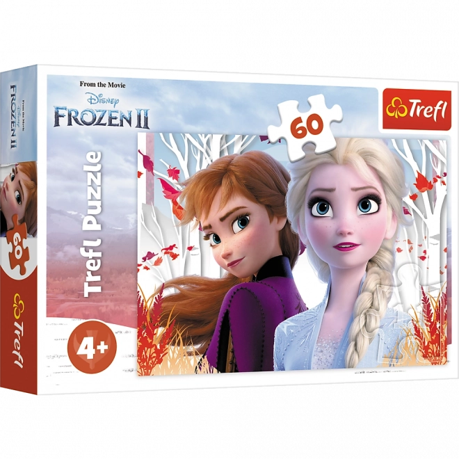 Puzzle 60 pièces Le monde enchanteur d’Anna et Elsa