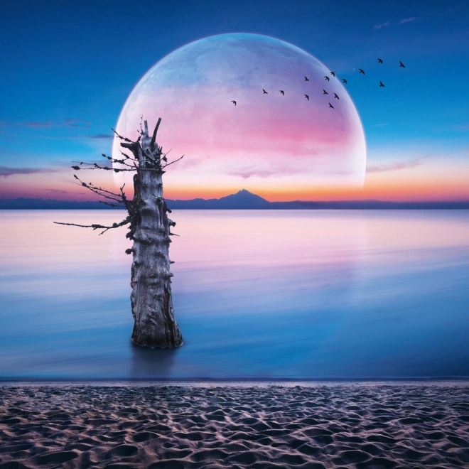 Calendrier de notes Lune 2026