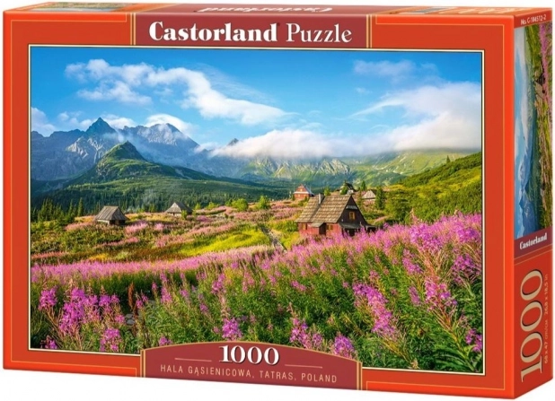 Puzzle 1000 pièces Hala Gąsienicowa, Tatras, Pologne