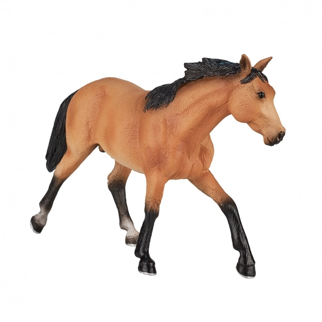Mojo Cheval marin