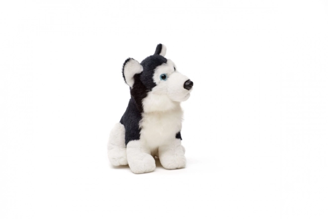 Husky en peluche 15 cm