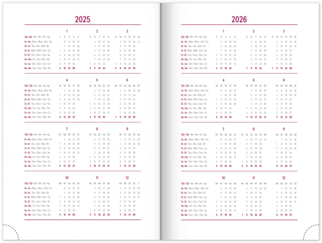 NOTIQUE Agenda Journalier Balacron 2025, bleu foncé, 13 x 18 cm