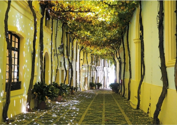 Puzzle Piatnik Ruelle andalouse 1000 pièces