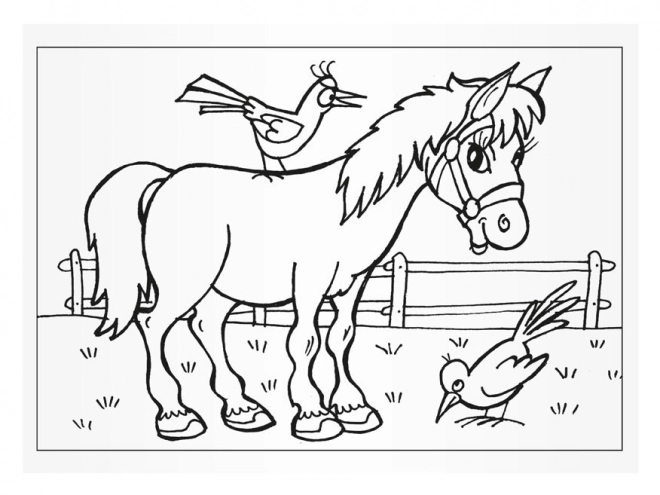 Livre à colorier MFP Animaux 2