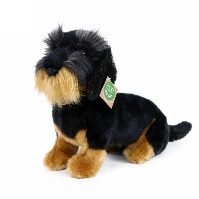 Teckel à poil dur en peluche assis 30 cm ECOLOGIQUE