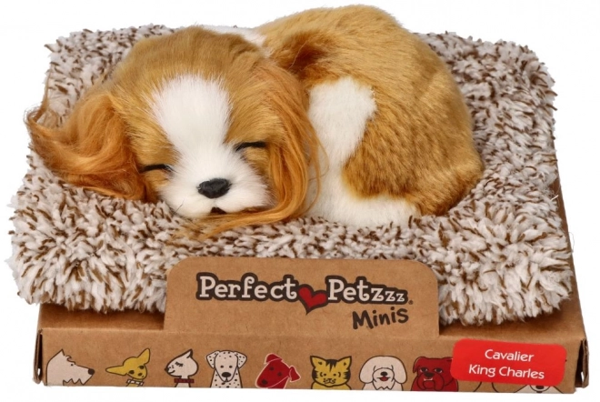 Chiot endormi Cavalier King Charles Perfect Petzzz