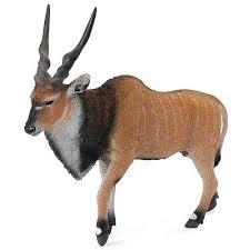 Antilope Eland COLLECTA