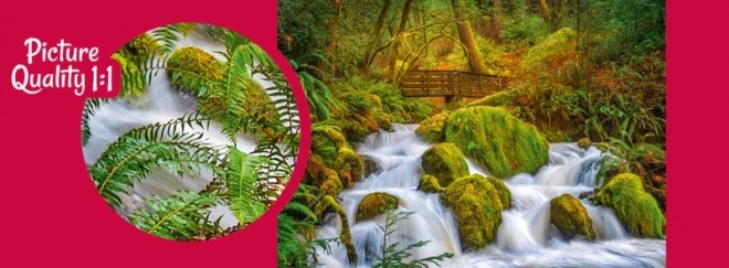 Puzzle Cascade forestière 1000 pièces