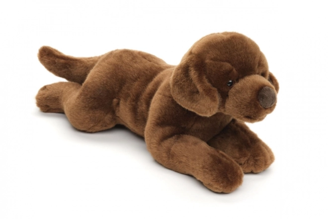 Labrador en peluche 40 cm ÉCOLOGIQUE
