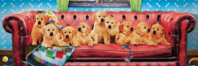 Puzzle panoramique Labradors sur canapé pour chiens 1000 pièces