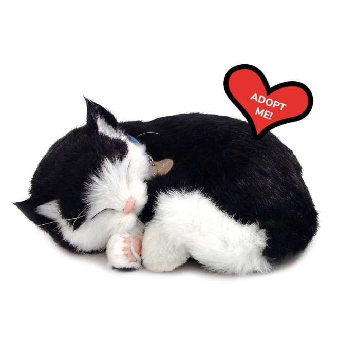 Jouet interactif Perfect Petzzz chat noir et blanc