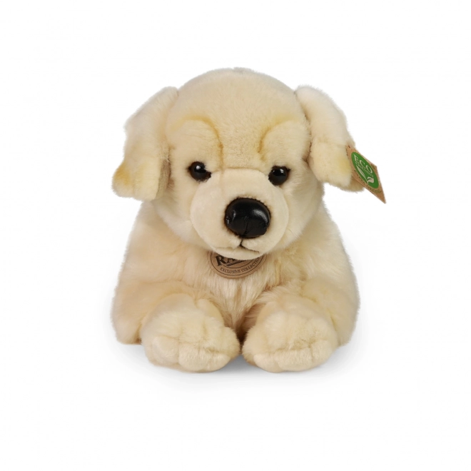 Chien en peluche Golden Retriever Eco Friendly