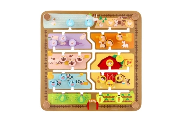 Labyrinthe éducatif en bois 2 en 1