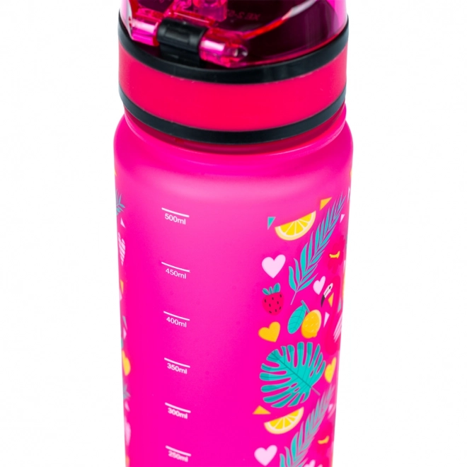Bouteille à boire en Tritan BAAGL Flamants roses, 500 ml