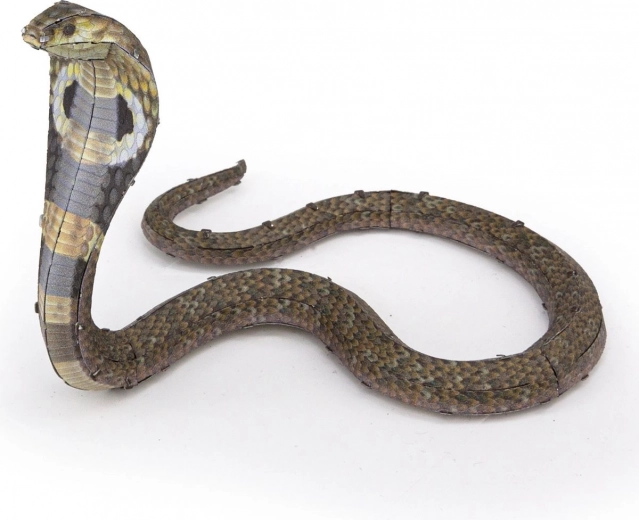 Pose flexible et saisissante du cobra