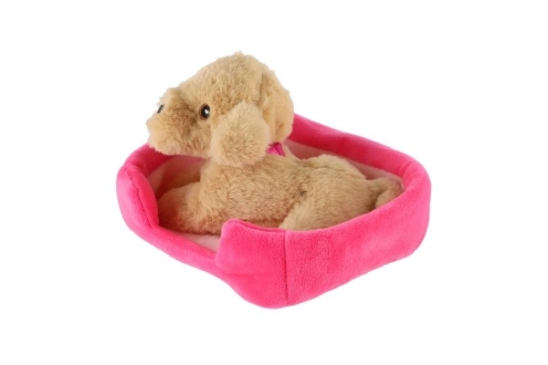 Petit animal chien dans son panier peluche 4 couleurs 22x24cm 24m+