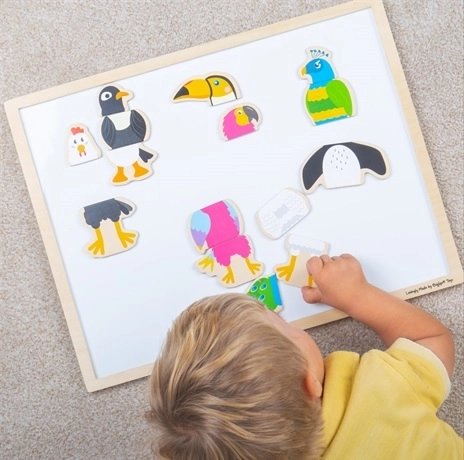 Magnets en bois Amis oiseaux BIGJIGS TOYS