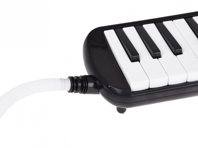 Mélodica avec clavier et étui