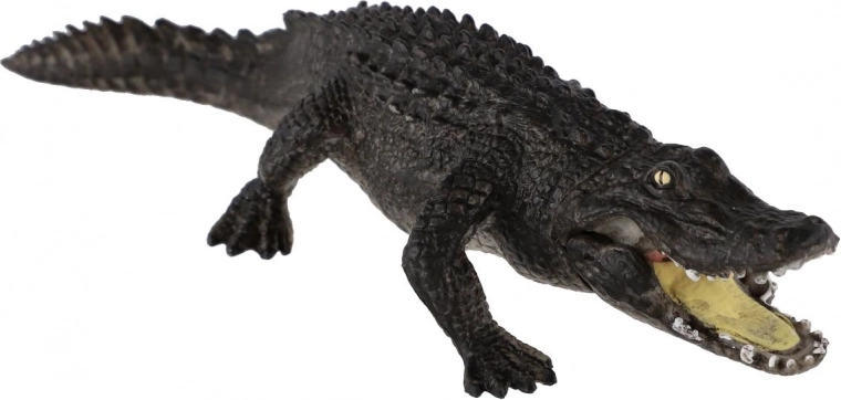 Plastique résistant et sûr