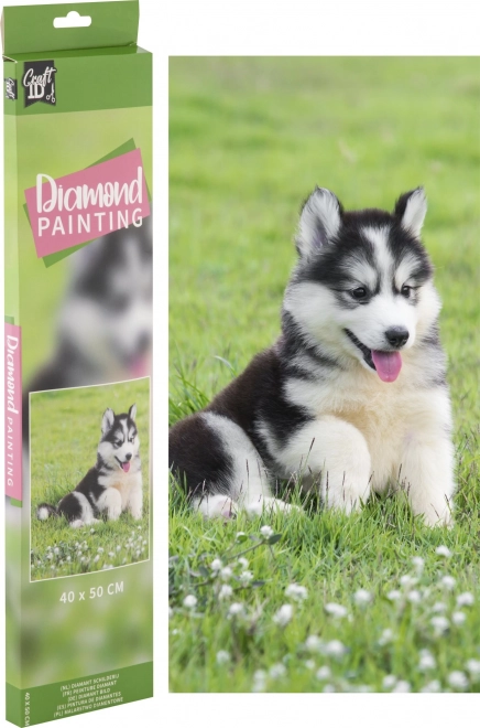 GRAFIX Peinture au diamant Husky 40x50cm