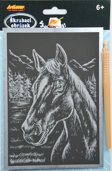 Image à gratter argenté 14x22cm