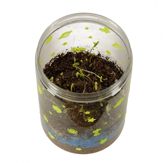 Terrarium pour cultiver des plantes avec lampe LED et dinosaures