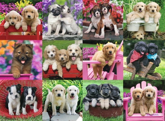 Puzzle Ravensburger chiots 500 pièces