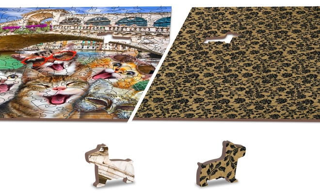 Puzzle Recto-verso 2en1