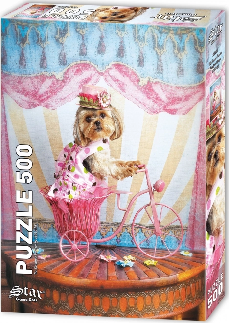 Puzzle Rêveur Voyageur 500 pièces