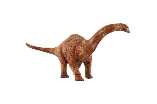 Apatosaurus en plastique zooted 30cm dans le sac
