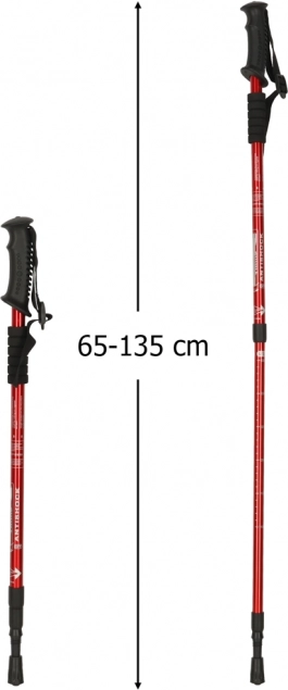 Bâtons de randonnée pliables pour Nordic Walking 2 pièces rouges