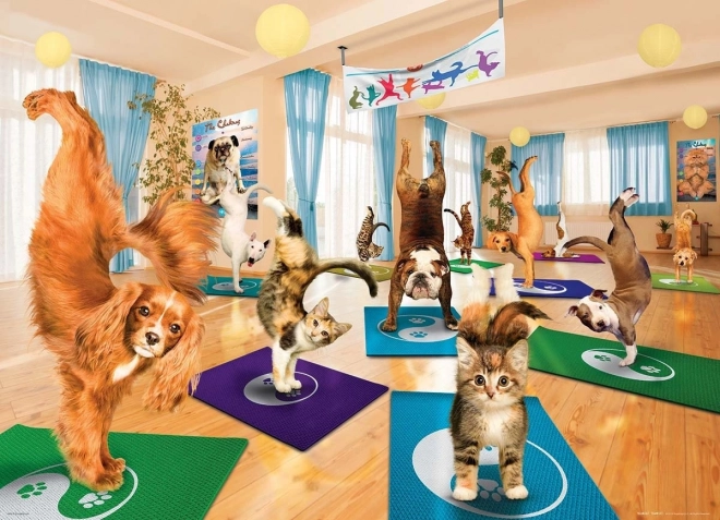 Puzzle EUROGRAPHICS Studio de yoga XL 300 pièces