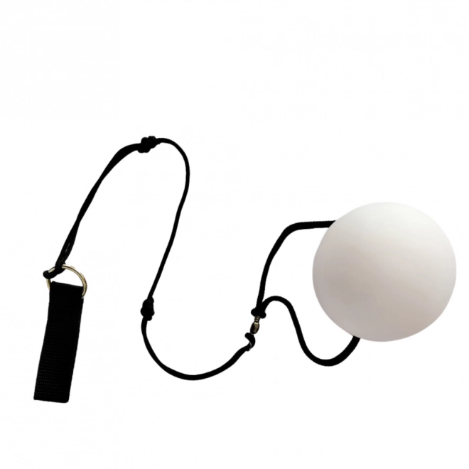 Boules LED lumineuses pour jongler