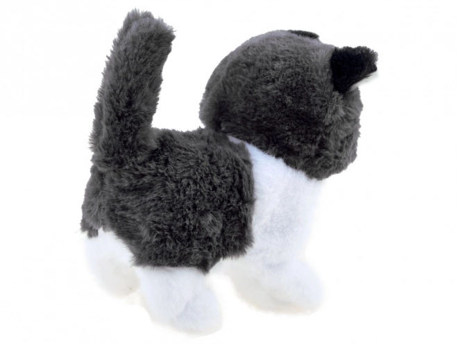 Chaton Interactif Psotek Cherche Maman