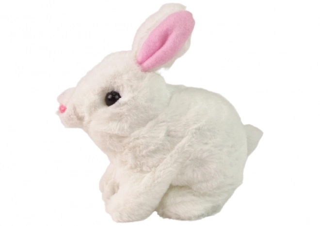 Lapin Interactif Bunny Rabbit Bol de Carotte Blanc Mascotte