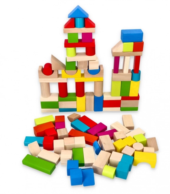 Blocs en bois colorés 100 pcs