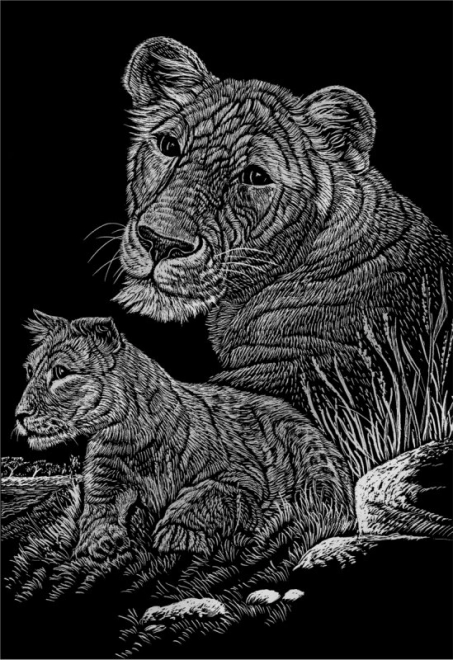 ROYAL & LANGNICKEL Illustrations à gratter en bloc Animaux sauvages