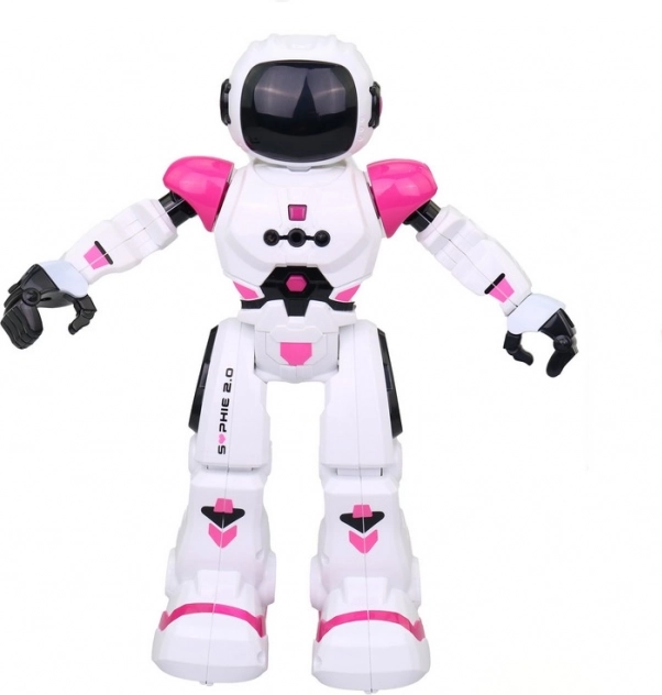 Compagnon robotique Sophie MaDe
