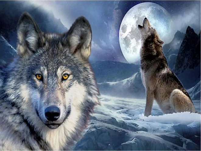 Kit de peinture diamant - loups en hiver