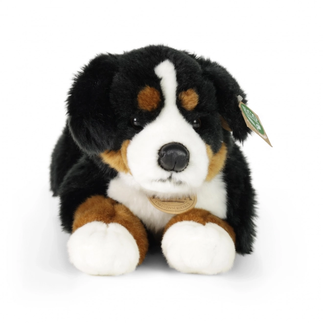 Chien de montagne bernois en peluche allongé 44 cm ÉCOLOGIQUE