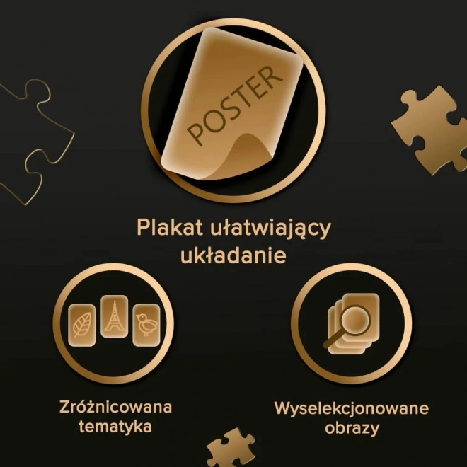 TREFL Puzzle Premium Plus Photo Odyssey: Château de Neuschwanstein 1000 pièces