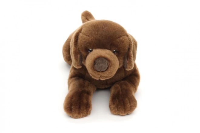 Labrador en peluche 40 cm ÉCOLOGIQUE